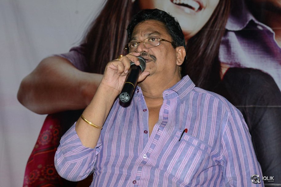 Seenugadi-Love-Story-Movie-Audio-Launch